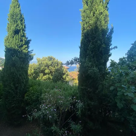 Villa Salyna Ičići Exterior foto