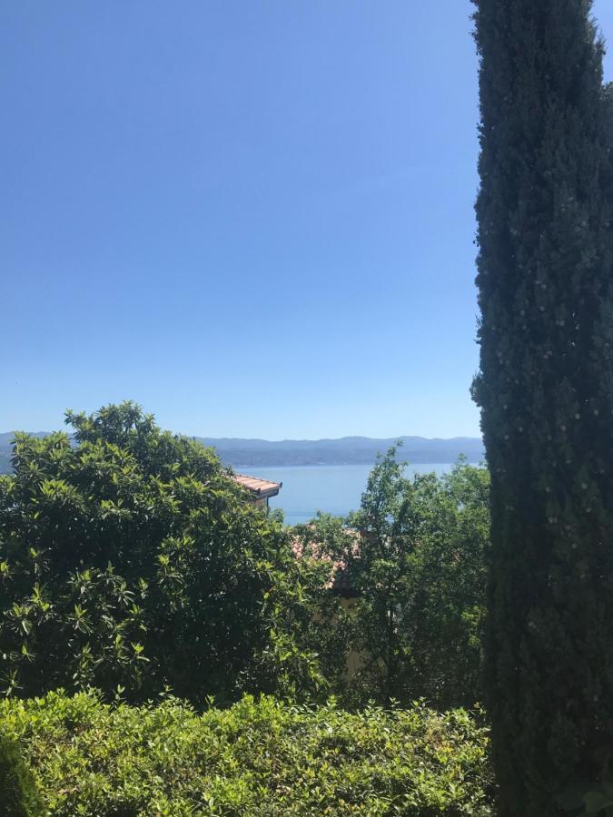 Salyna Apartament