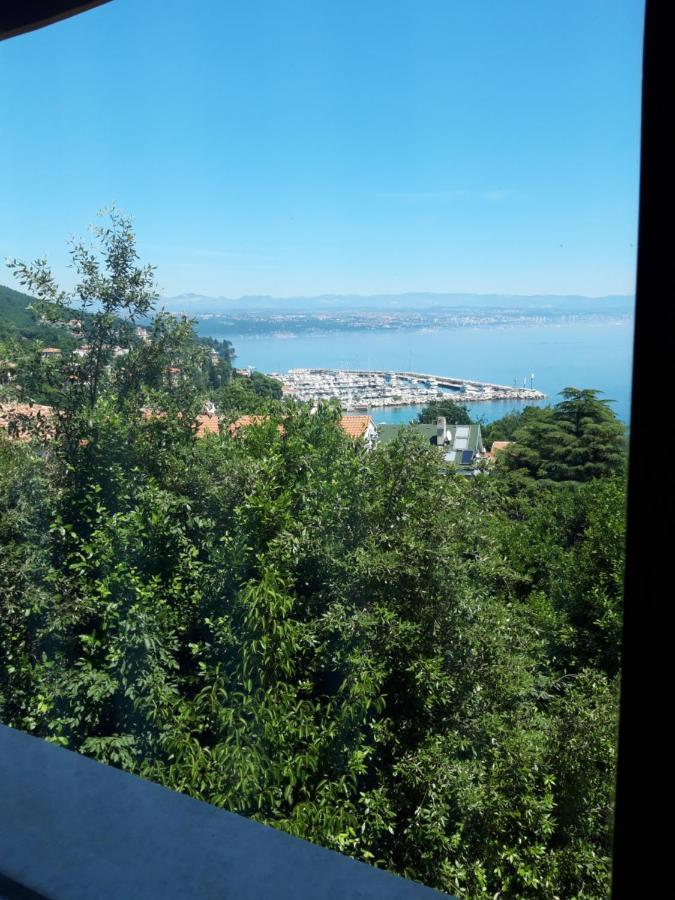 Salyna Apartament