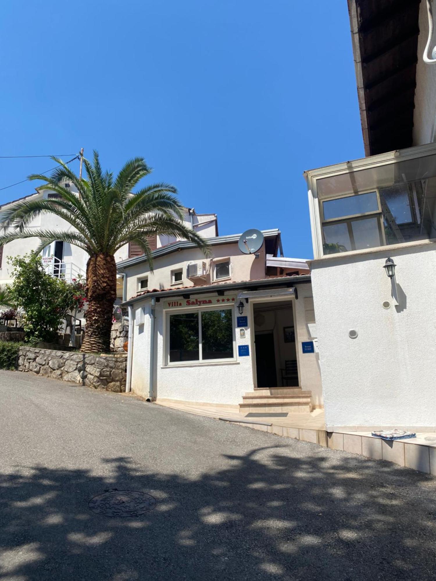 Apartment Salyna