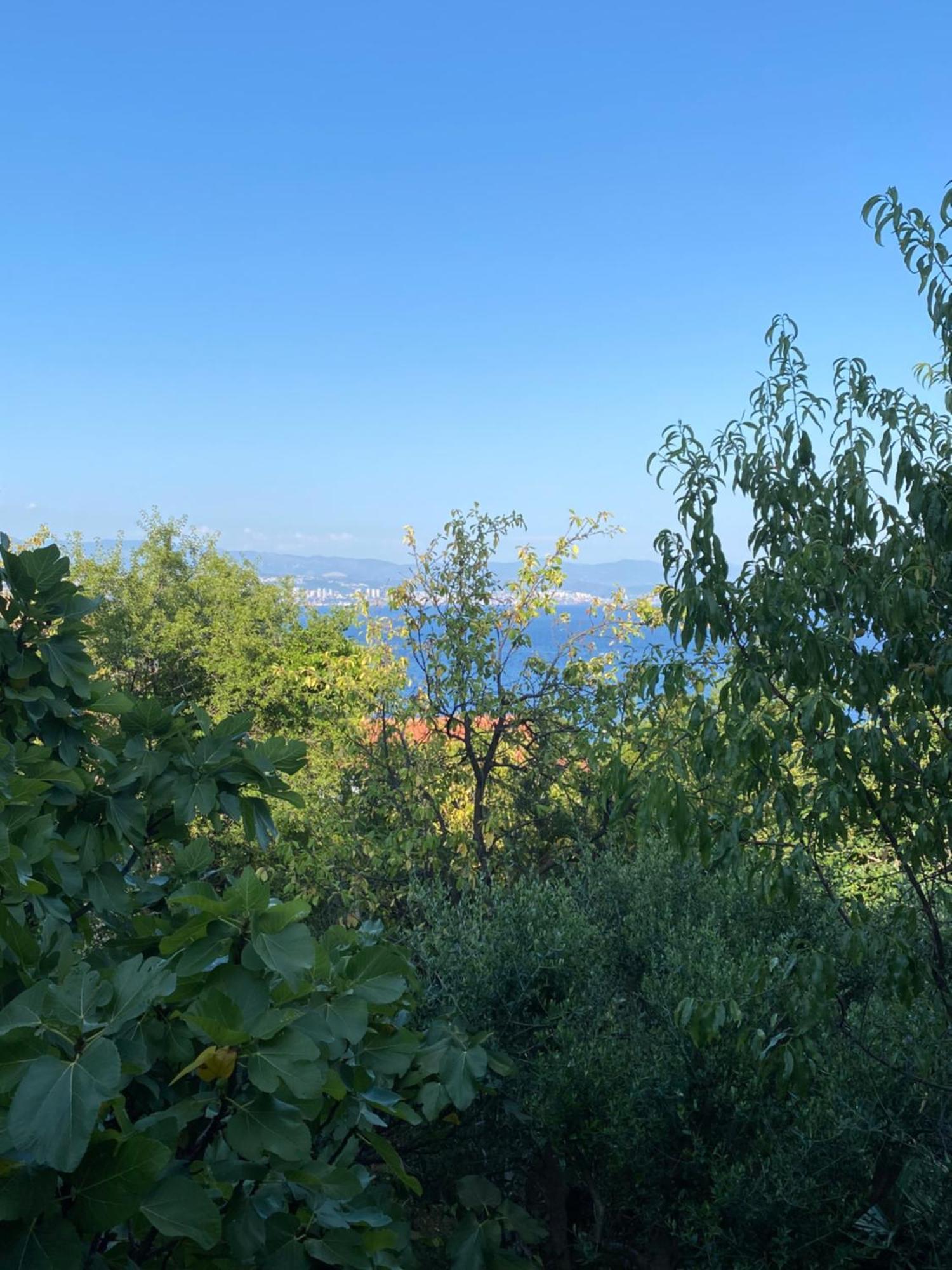 Apartament Salyna *