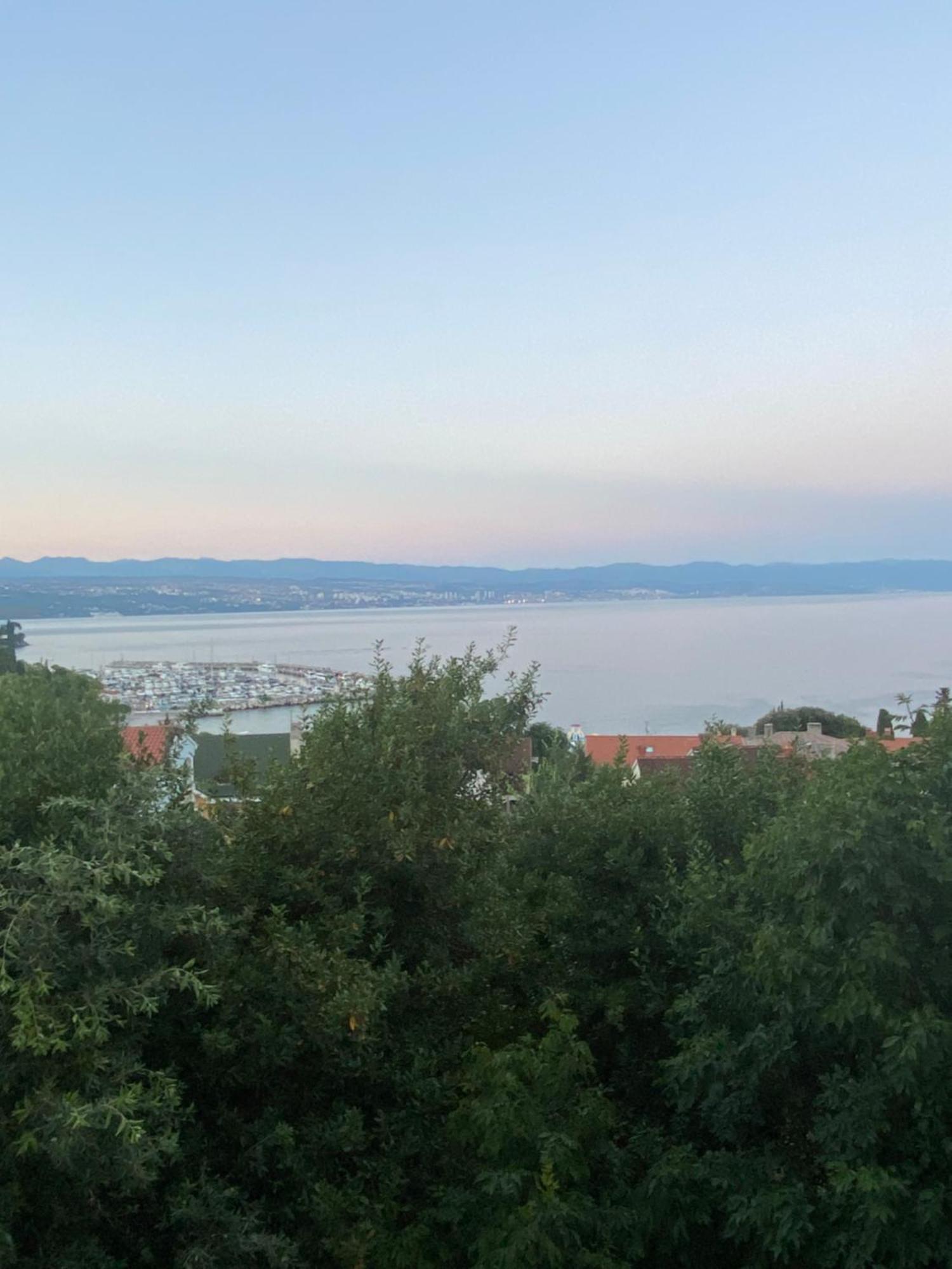 Salyna